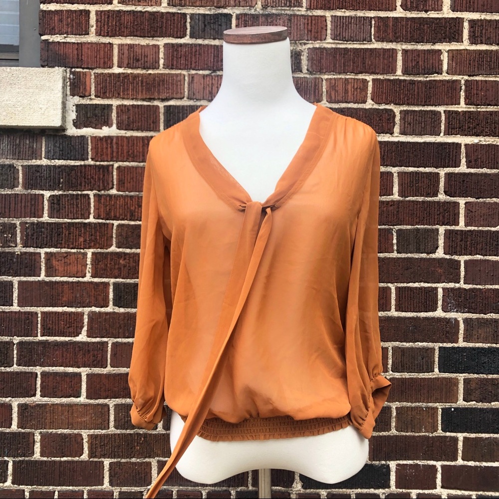 Old Navy Rust Sheer Blouse, V tie neckline